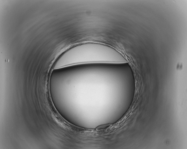 X0000091310050200708101117