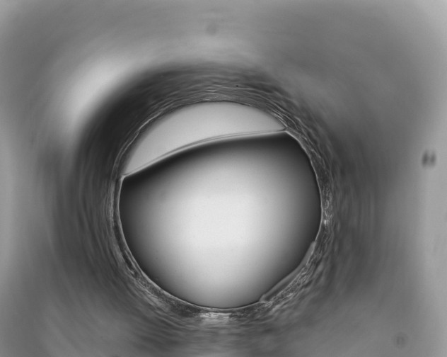 X0000091310052200708101117
