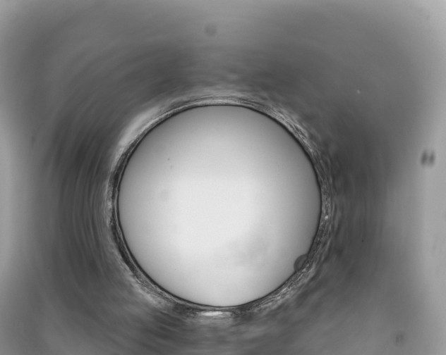 X0000091310053200708101117