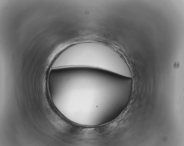 X0000091310054200708101117