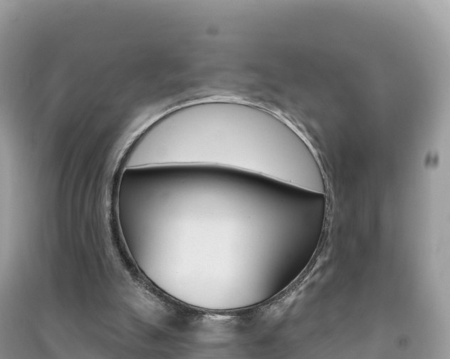 X0000091310055200708101117