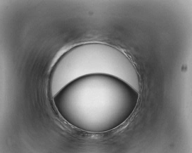 X0000091310056200708101117