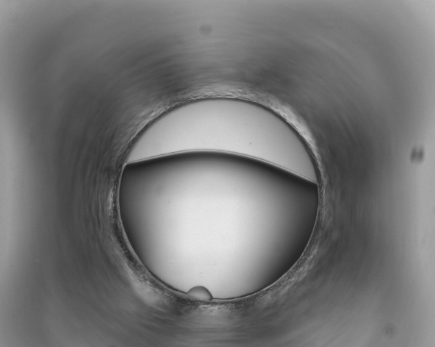 X0000091310057200708101117