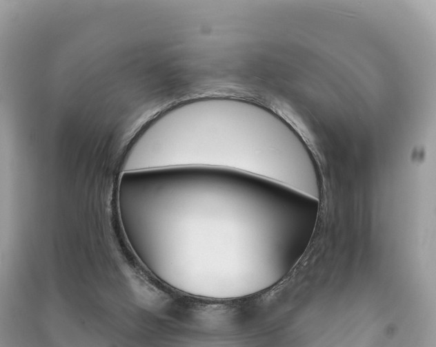 X0000091310058200708101117