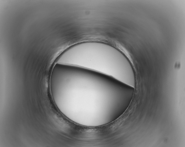 X0000091310059200708101117