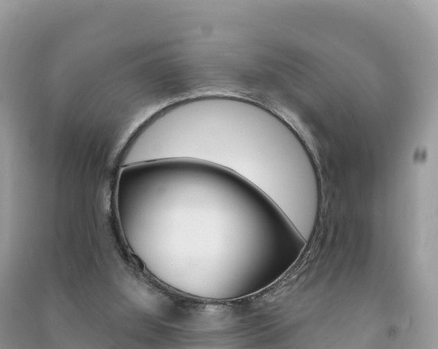 X0000091310060200708101117