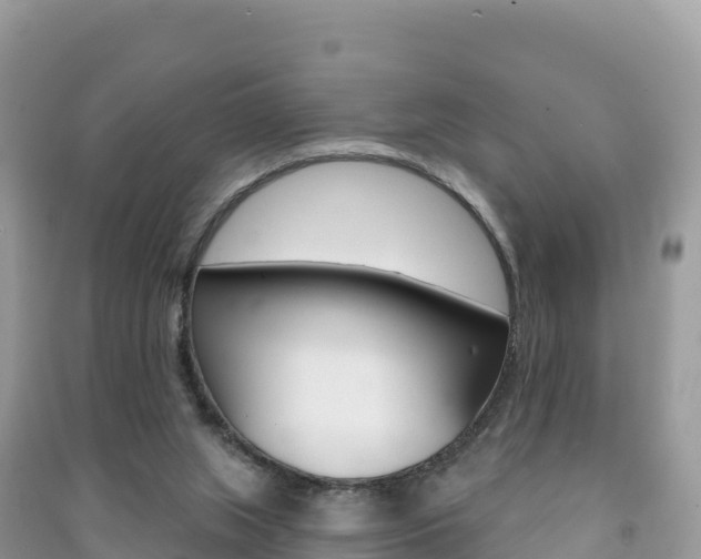 X0000091310063200708101117