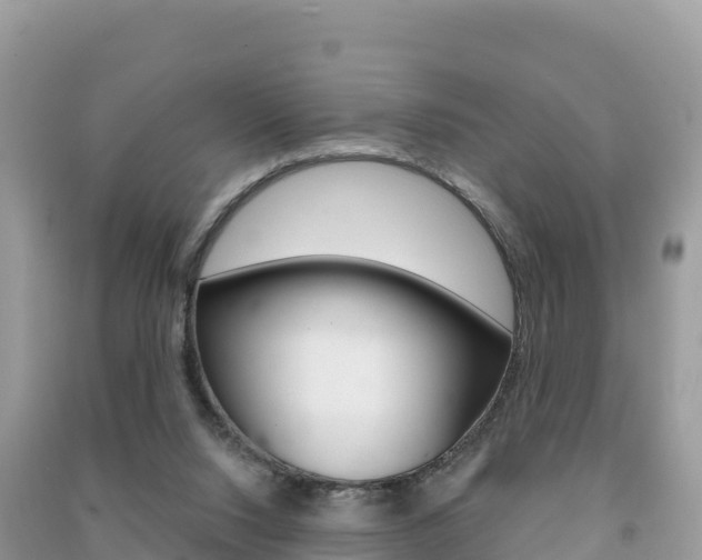 X0000091310064200708101117