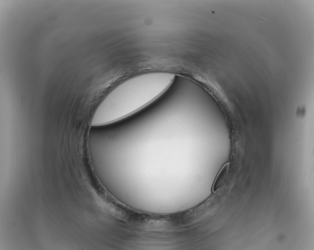 X0000091310066200708101117
