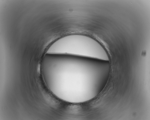 X0000091310067200708101117