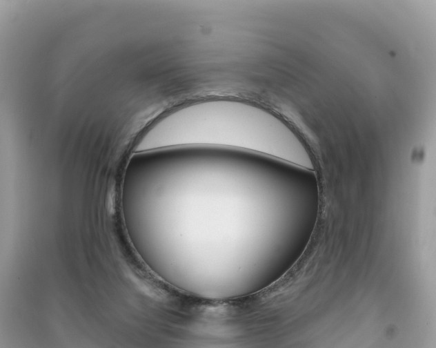 X0000091310068200708101117