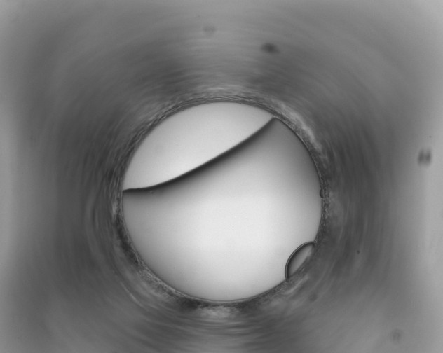 X0000091310069200708101117