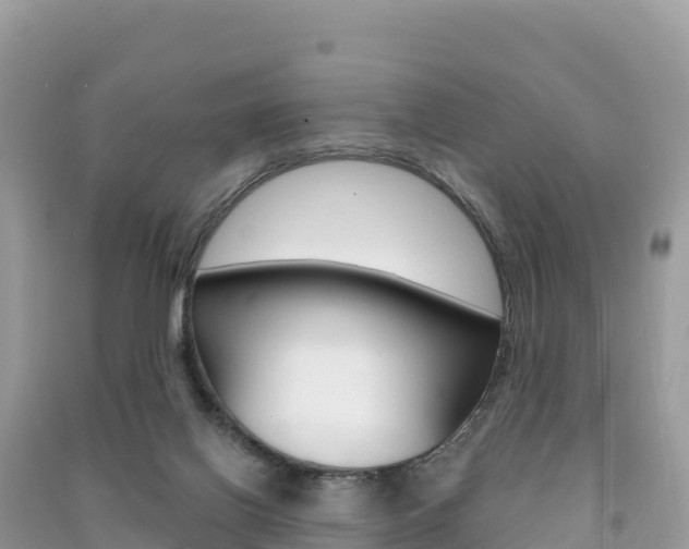 X0000091310070200708101117