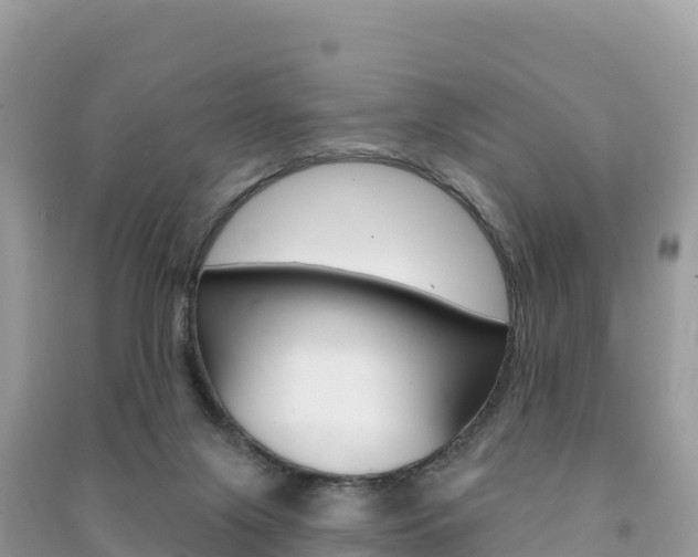 X0000091310071200708101117