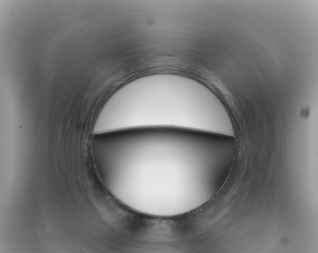 X0000091310073200708101117