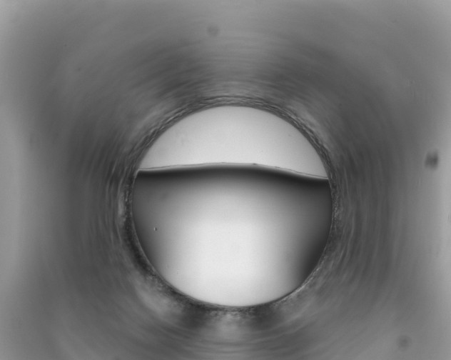 X0000091310074200708101117