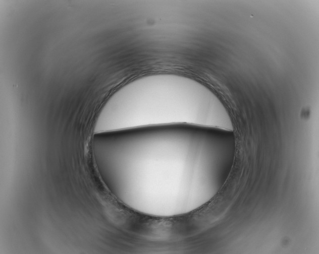 X0000091310075200708101117