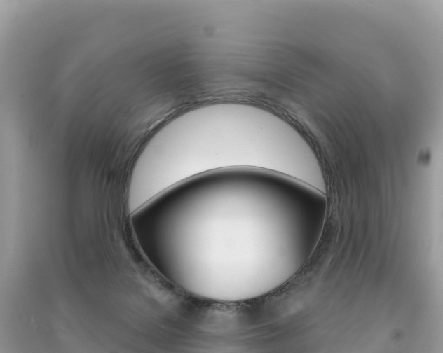 X0000091310076200708101117