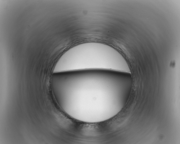 X0000091310077200708101117