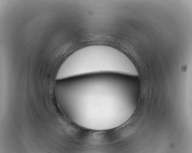 X0000091310078200708101117