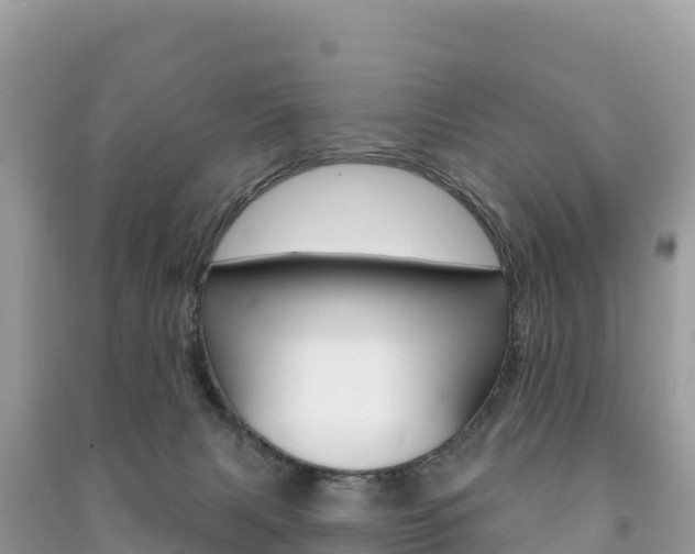 X0000091310079200708101117