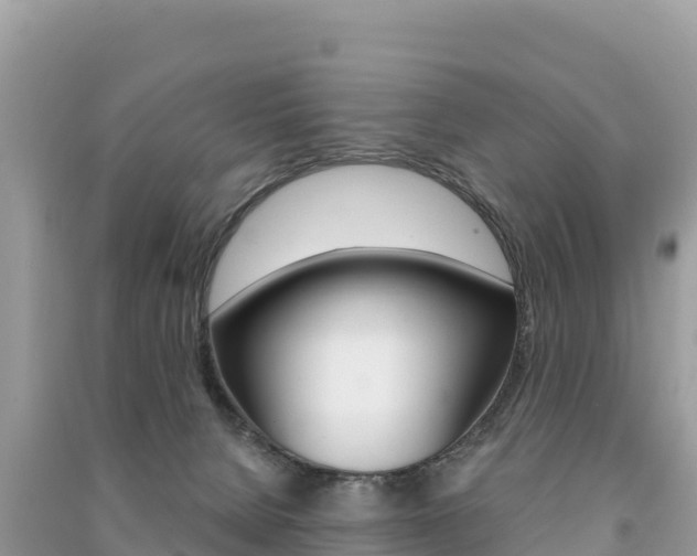 X0000091310080200708101118