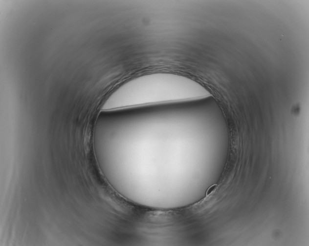 X0000091310082200708101118