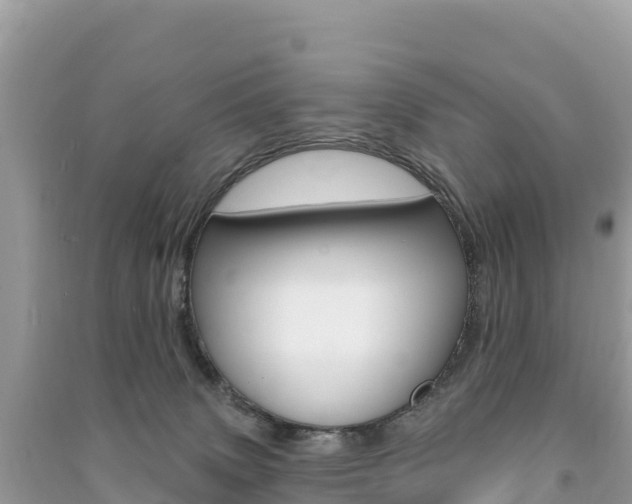 X0000091310083200708101118