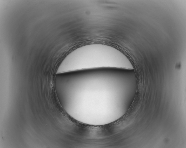 X0000091310085200708101118