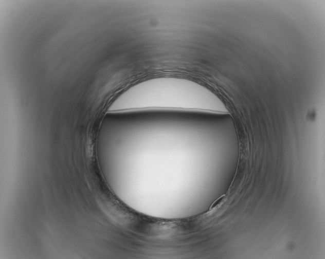 X0000091310086200708101118