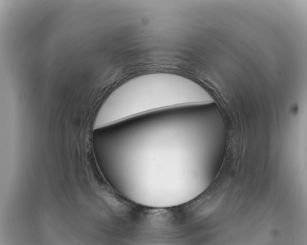 X0000091310087200708101118