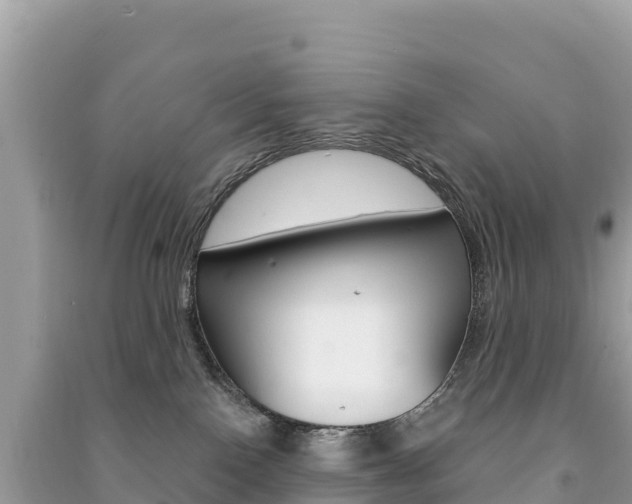 X0000091310090200708101118