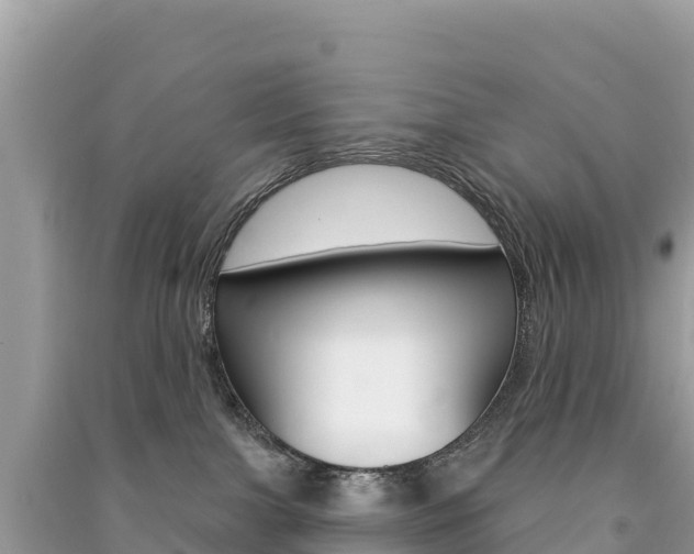 X0000091310091200708101118