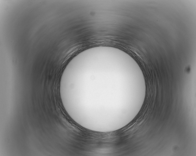 X0000091310092200708101118