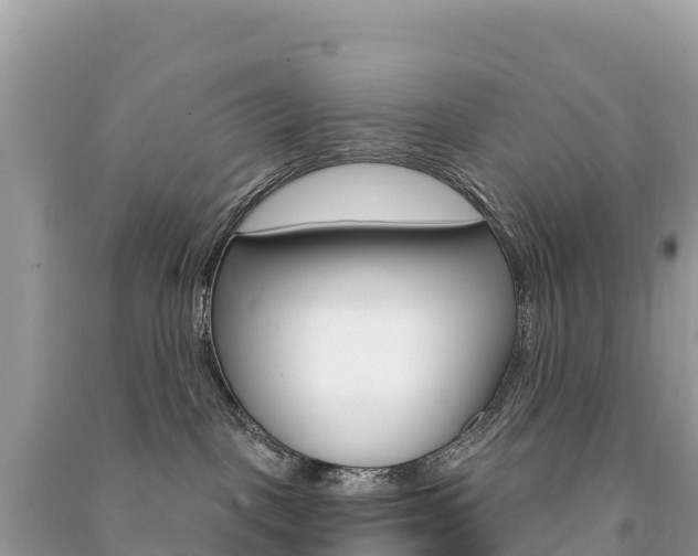 X0000091310093200708101118