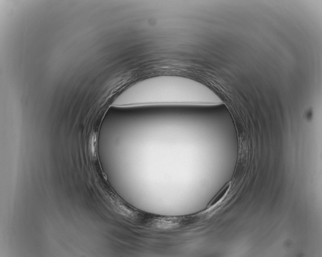 X0000091310094200708101118