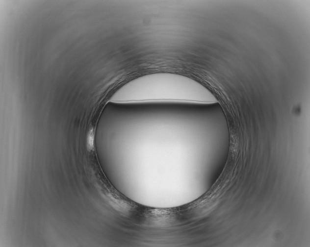 X0000091310095200708101118