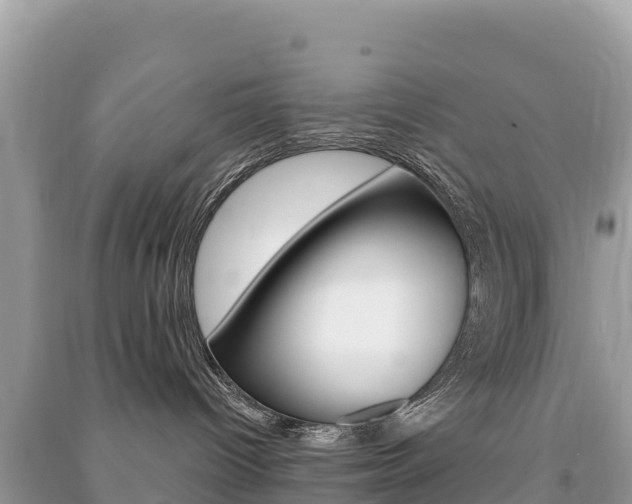 X0000091310096200708101118