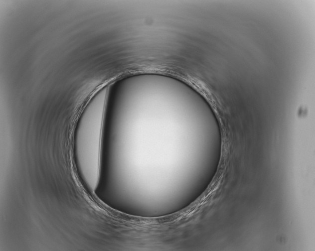 X0000091310097200708101117
