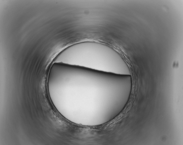 X0000091310098200708101117