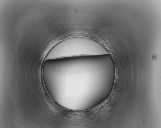 X0000091310099200708101117