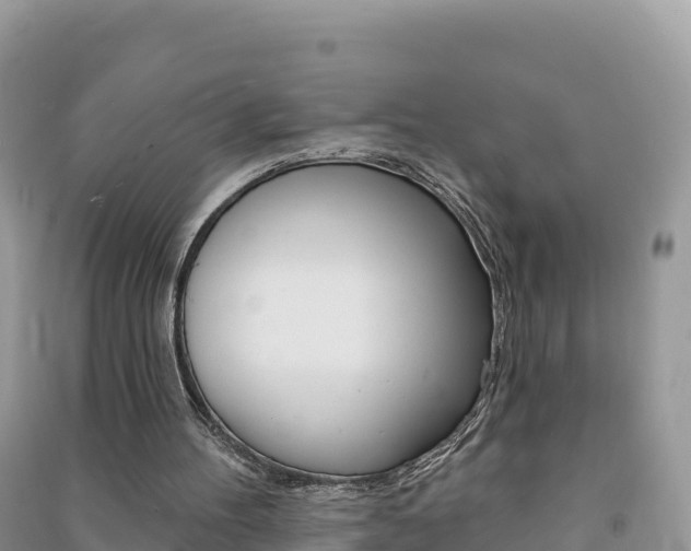 X0000091310100200708101117