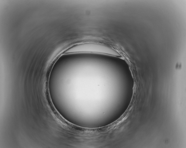 X0000091310101200708101117