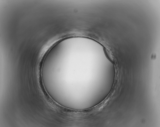 X0000091310103200708101117