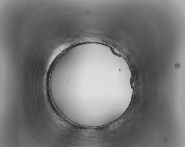 X0000091310104200708101117