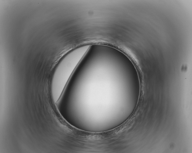 X0000091310105200708101117