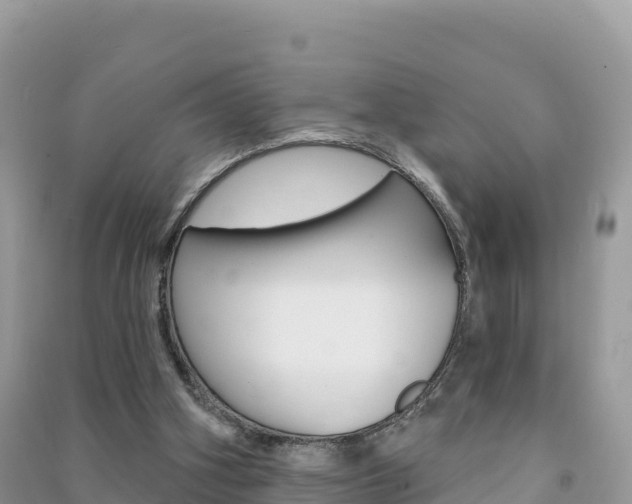 X0000091310106200708101117