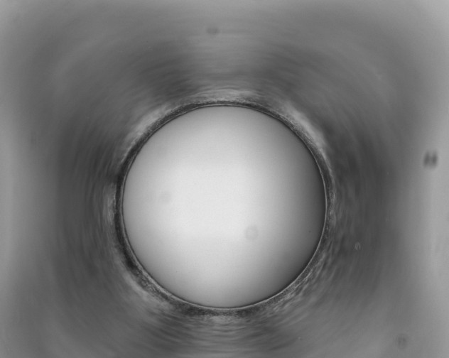 X0000091310107200708101117