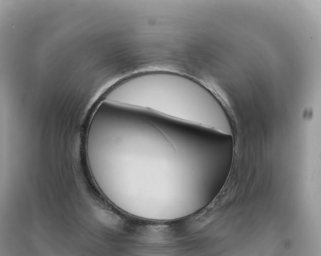 X0000091310108200708101117