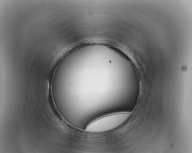X0000091310109200708101117